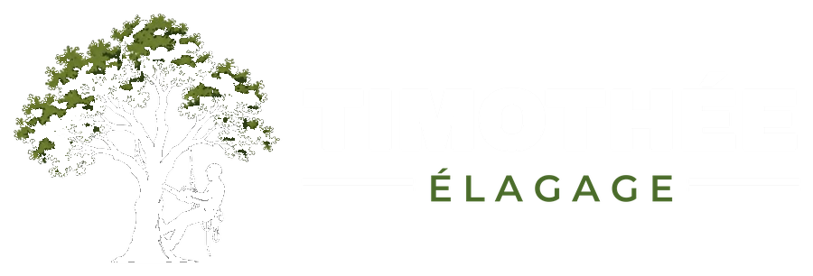 Timothée Élagage